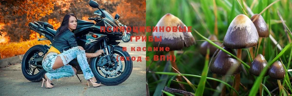 стафф Наволоки