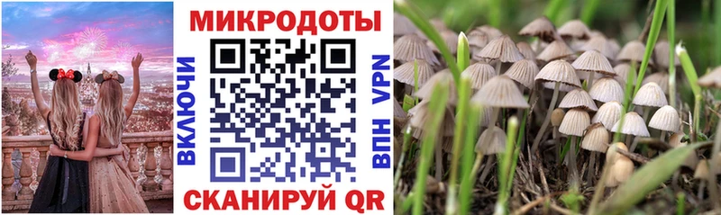 Псилоцибиновые грибы Cubensis  закладки  Нестеров 