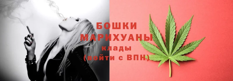 Каннабис Ganja  Нестеров 